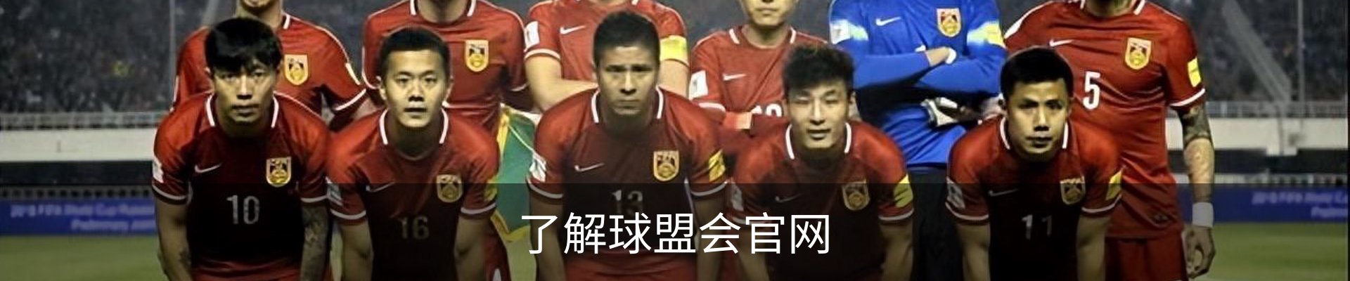 了解球盟会官网